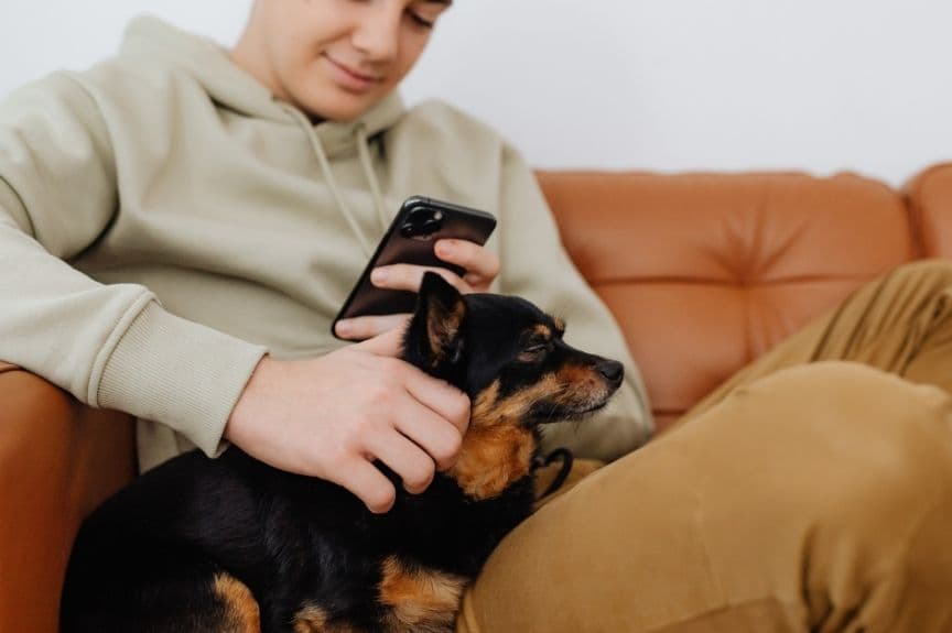 Junger Mann sitzt mit seinem Hund auf dem Sofa und schaut aufs Handy
